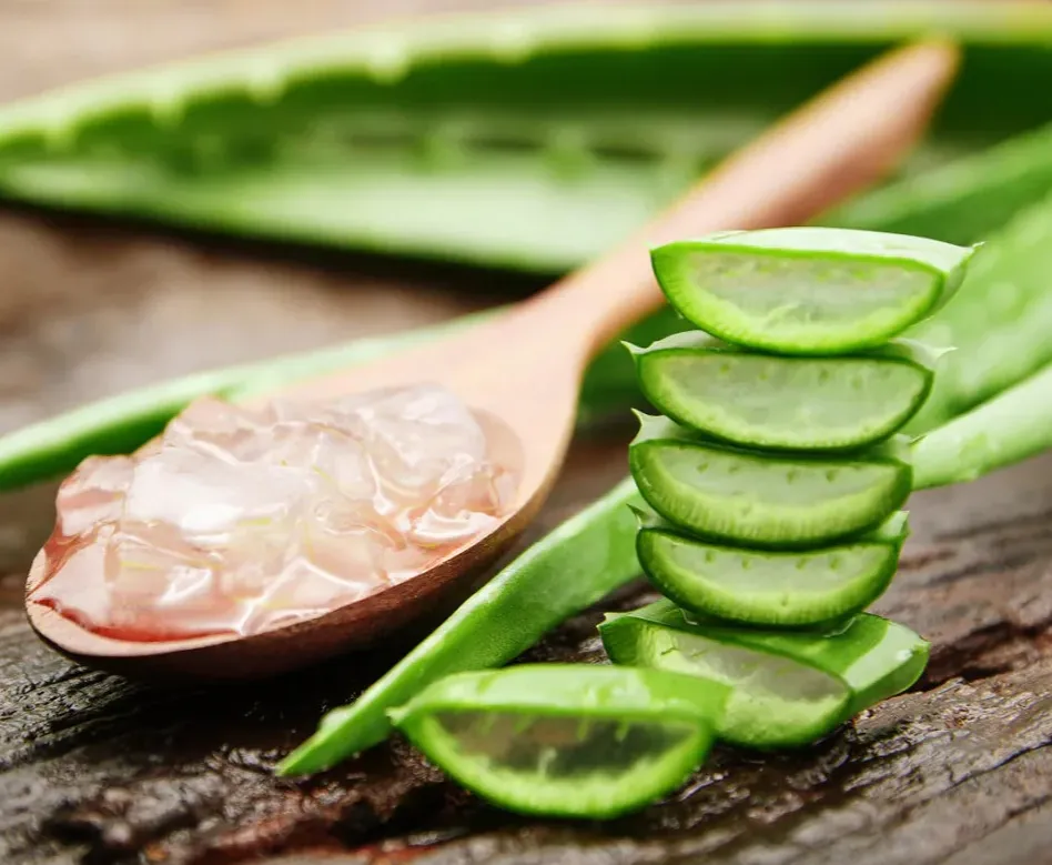 Aloe Vera Extract